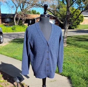 J.Crew 100% Merino Wool V-neck Cardigan, Blue, Large (missing bottom button)
